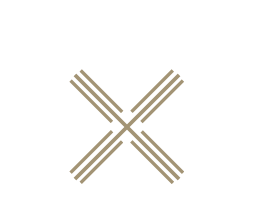 logo croix