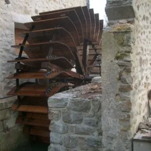 anjouin