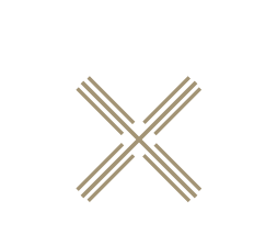 logo croix